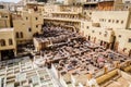 Chouara Tannery, Fez, Morocco